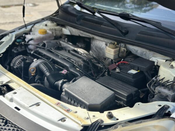 CHERY ORINOCO 2011 BLANCO - Imagen 18