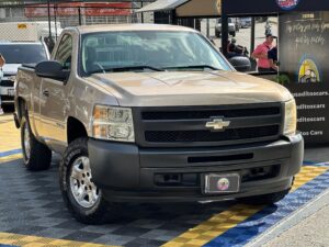 CHEVROLET SILVERADO LS 2013 BEIGE